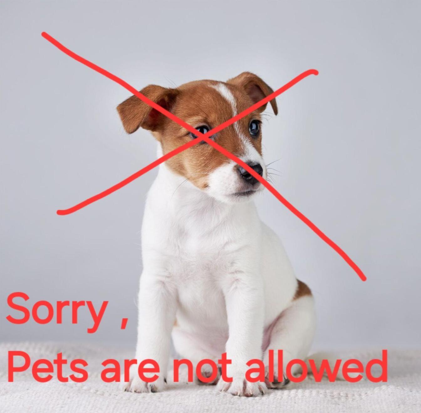 D' *